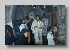 P1010846 (Medium)